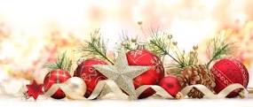 Suriving the Holidays