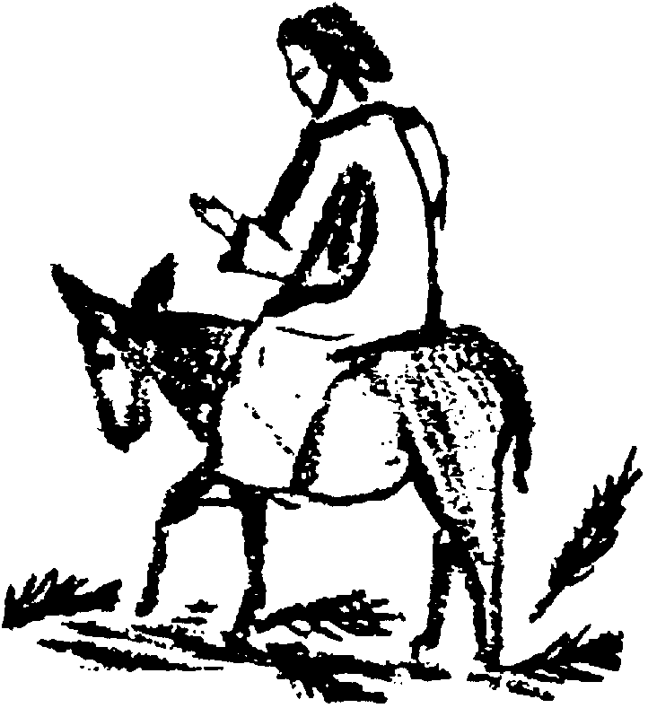 donkeyCHRIST