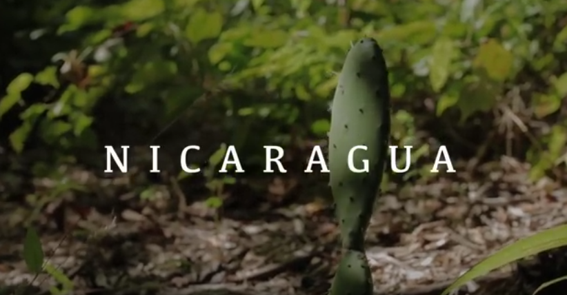 nicaragua logo