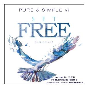 pure  simple VI